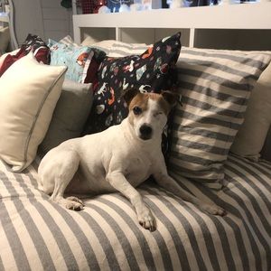 Meet your Posher, Sandi